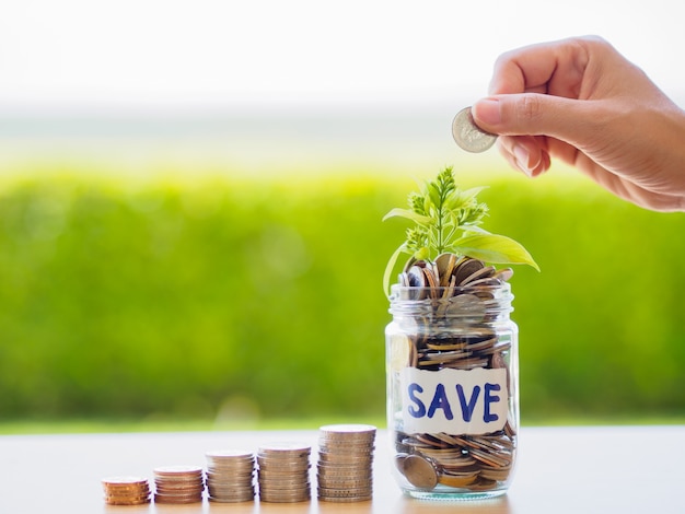 Abstract money saving hand put coin into small baby tree with glass jar Coins.