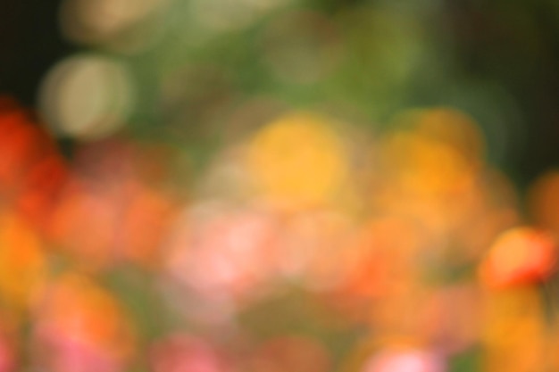 Abstract mooi kleurrijk van bloem in natuurlijk vaag op bokeh van aardachtergrond