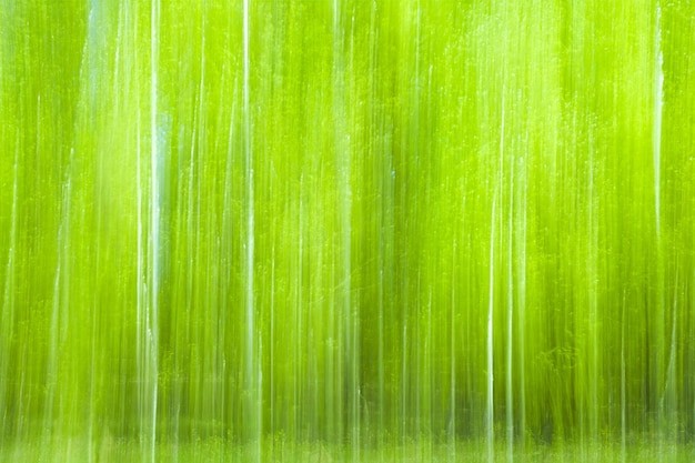 Abstract motion blur spring summer green forest sunny texture background