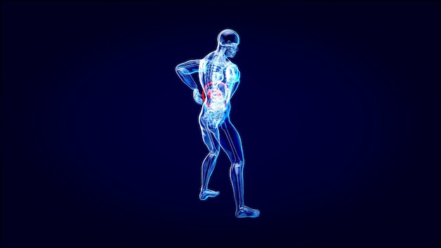 Abstract motion design of backpain and kidneys