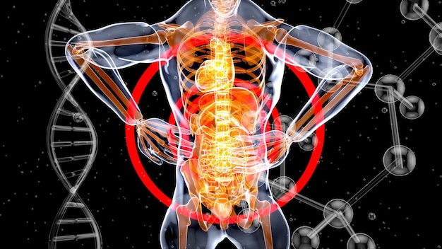 Abstract motion design of backpain and kidneys