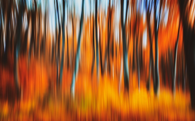 Abstract natural background. Motion blur of trees in an autumn forest