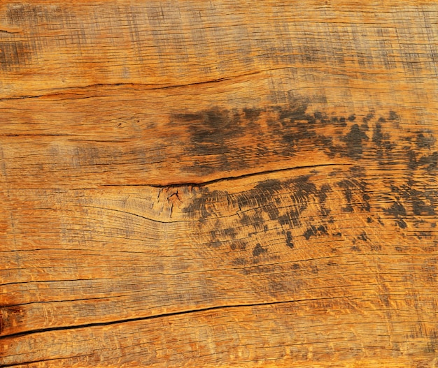 Abstract natural background oak board texture