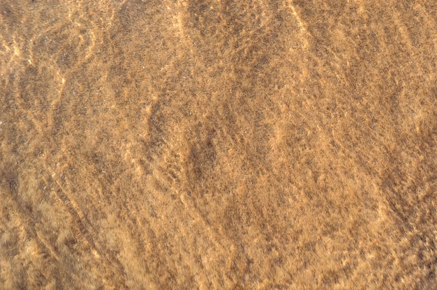 Abstract natural background of sand under water