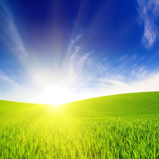 Abstract natural idyllic background with green grass sun shining  and cloudy blue sky