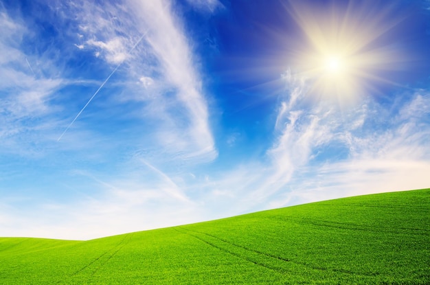 緑の草の太陽が輝いて、曇った青い空と抽象的な自然の牧歌的な背景