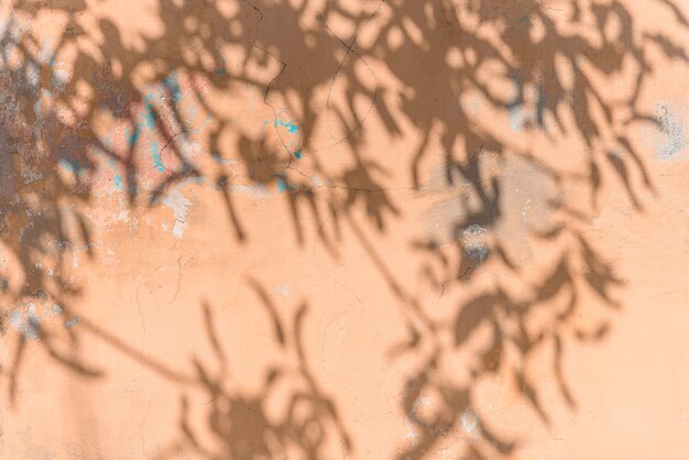 Abstract natural leaves shadows on wall