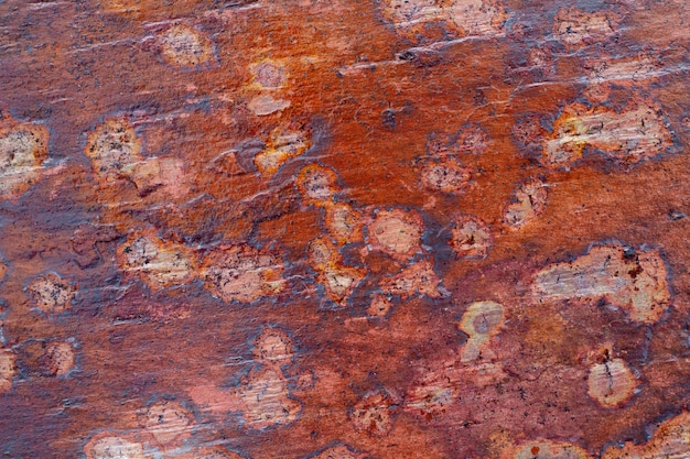 Foto struttura astratta in pietra naturale