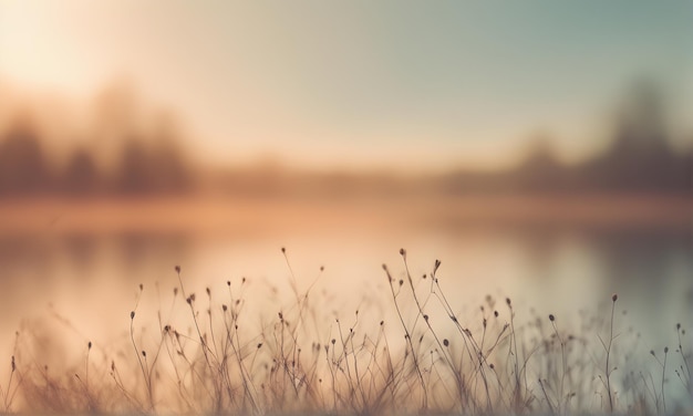 Abstract nature blurred backdrop