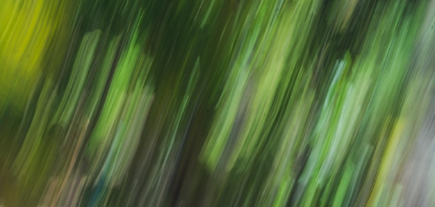 Abstract Nature Blurred dynamic motion lines defocused light bright dark green yellow tropical leaves Wallpaper screensaver design background