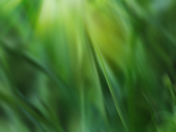 Photo abstract nature green grass background