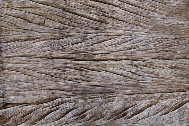 Fondo di legno di struttura del vecchio lerciume naturale rustico di legno astratto di legno vecchio.