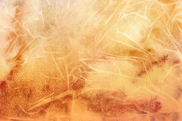 abstract orange texture Neurospora crassa fungus watercolor