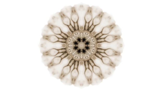 추상 페인트 브러시 잉크 폭발 확산 부드러운 개념 대칭 패턴 장식 장식 만화경 운동 기하학적 원형 및 별 모양