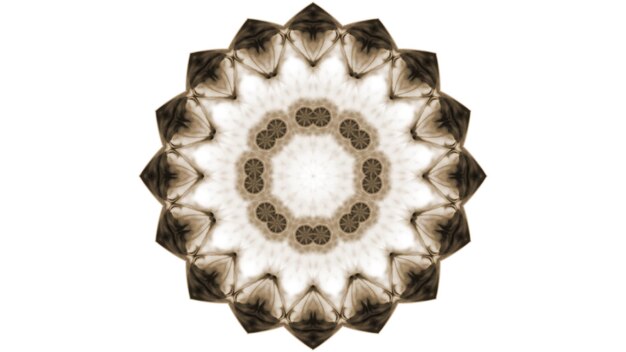 Foto astratto pennello inchiostro esplodere diffusione concetto liscio modello simmetrico ornamentale decorativo caleidoscopio movimento cerchio geometrico e forme stella