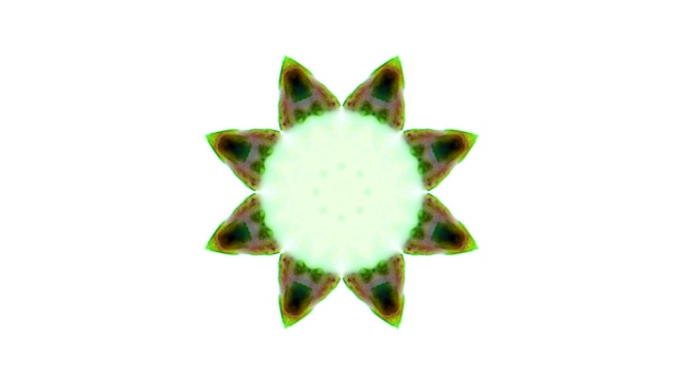 Foto astratto pennello inchiostro esplodere diffusione concetto liscio modello simmetrico ornamentale decorativo caleidoscopio movimento cerchio geometrico e forme stella