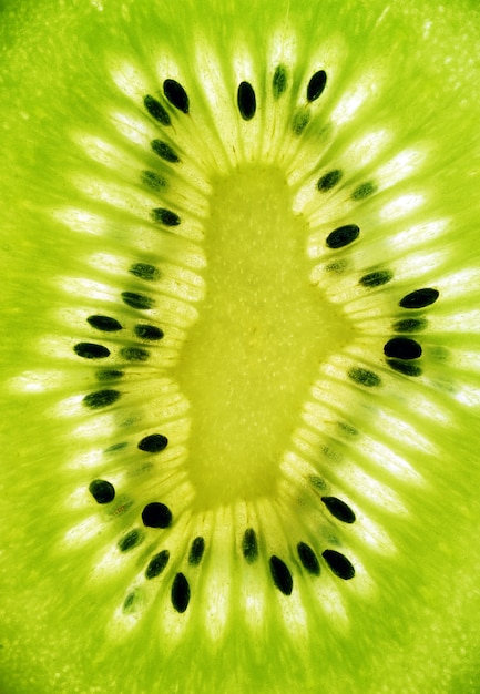 Abstract photo of a kiwi