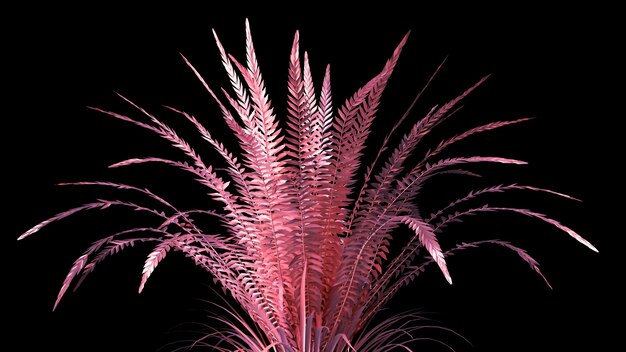 Abstract pink fern plant