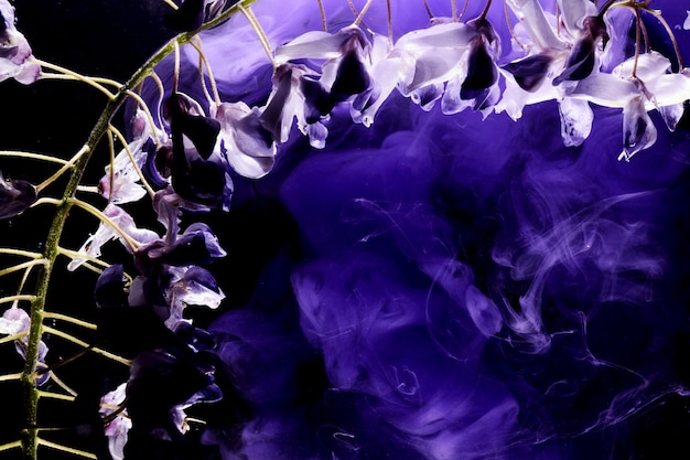 Sfondo lilla viola astratto con fiori e vernici in acqua sfondo per prodotti cosmetici profumati