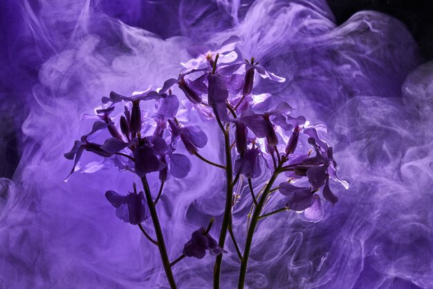 Photo abstract purple lilac background with flowers and paints in water backdrop for perfume cosmetic products