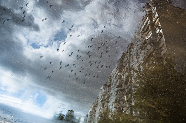 Abstract reflection of a city street in a rainy puddle. Flying birds