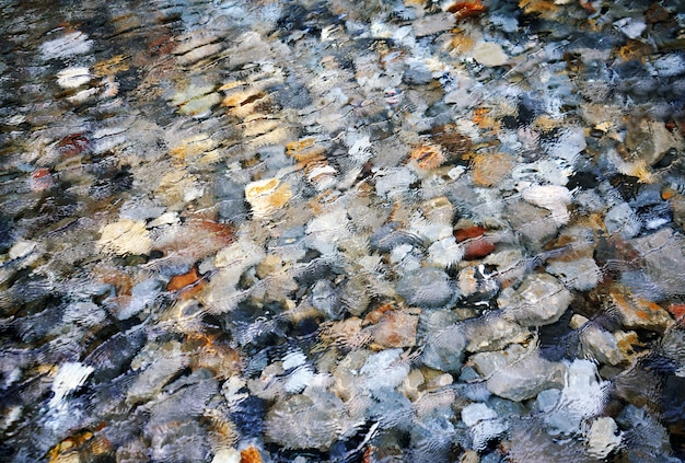 抽象的な岩の水中の底透明な透明な水と波紋の背景。