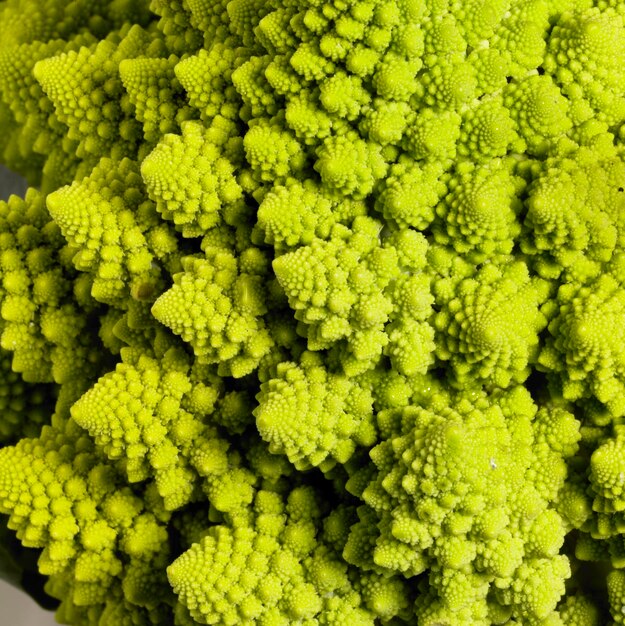 abstract romanesco cauliflower