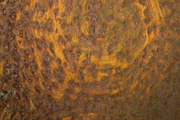 Photo abstract rust detail