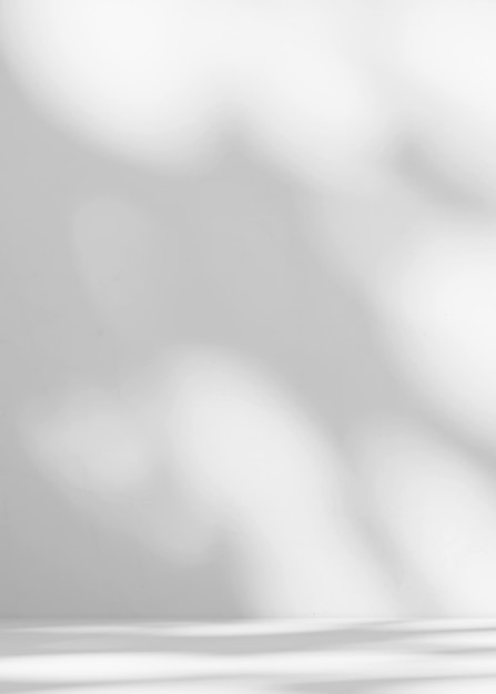 写真 抽象的な影の葉灰色のセメント ルーム stodio backgroundsunlight 反射オーバーレイ背景ブランク カウンター バー床 roomempty table free space for add product presentationmock up nature template