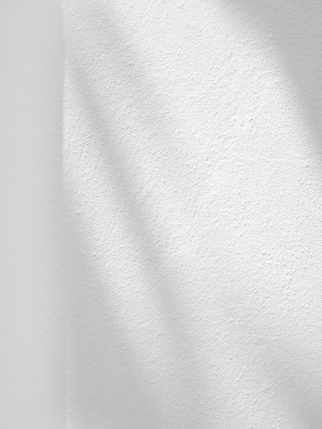 Abstract shadow of leaves on a white wall