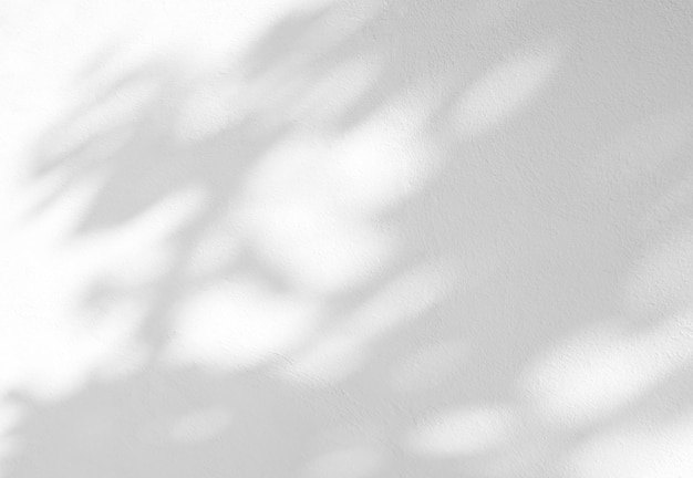 Abstract shadow of leaves on a white wall