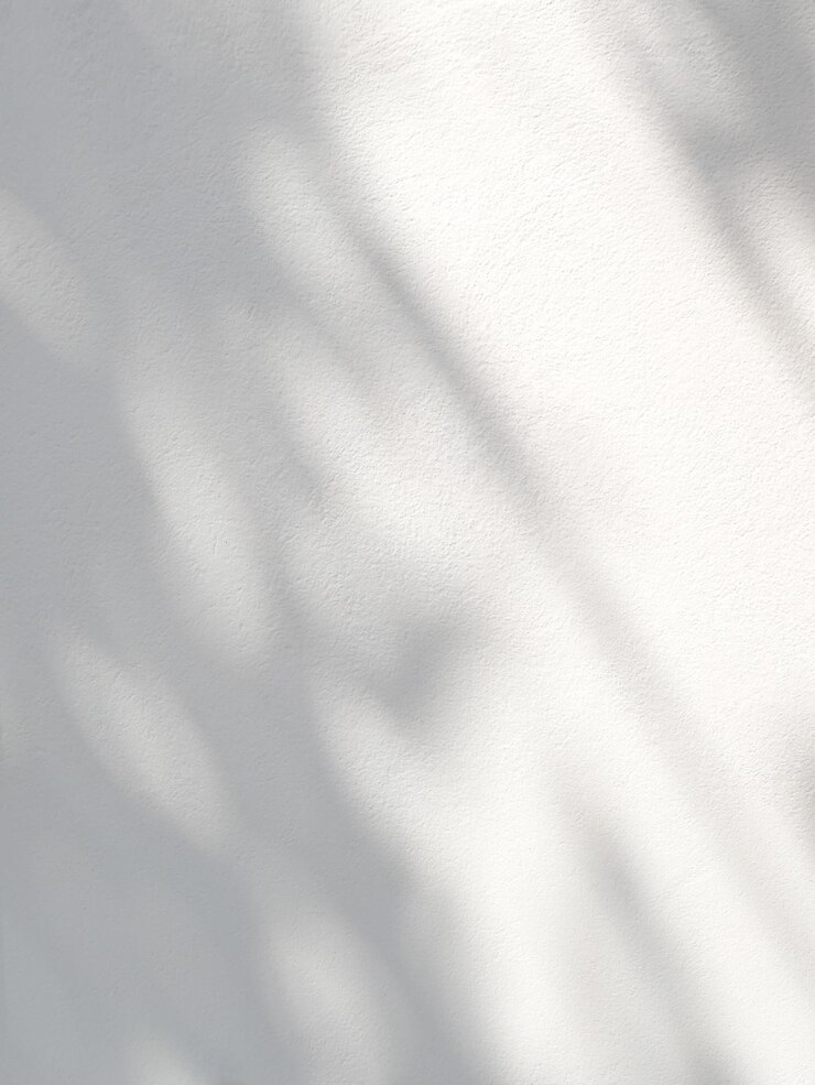 Photo 白い壁の葉の抽象的な影