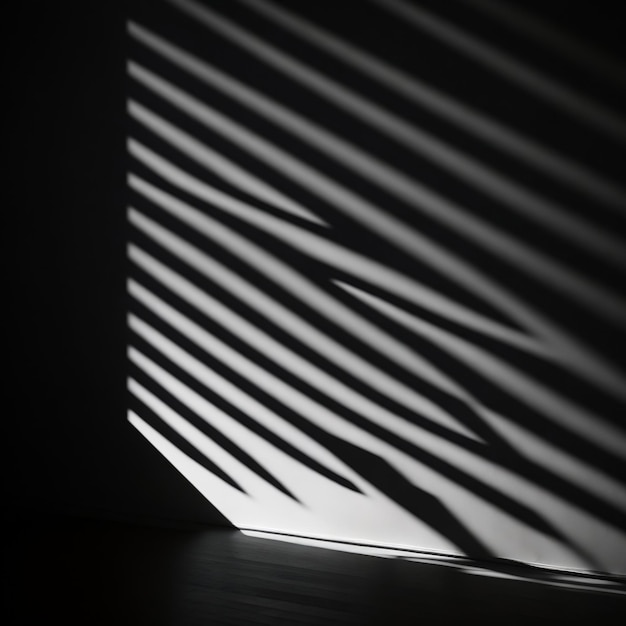 Фото Абстрактная тень на фоне белой стены темная тень на белом фоне