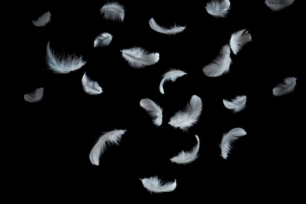 abstract, solf white feathers falling in the dark.