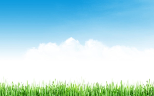 Abstract sunny spring background