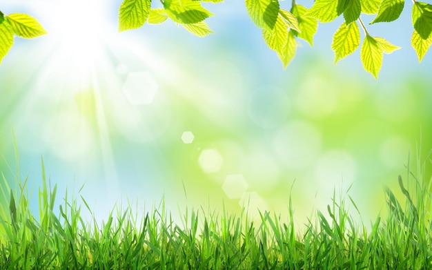 Abstract sunny spring background