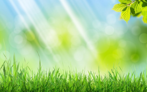 Abstract sunny spring background