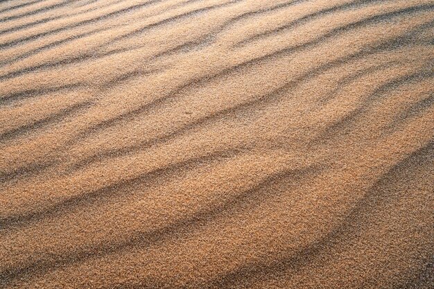 Abstract texture Background with smooth lines of sand Sand dunes Ripples in the sand Strips in the sand from the wind