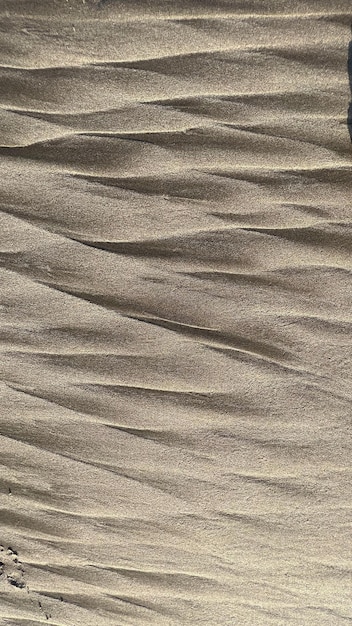 Photo abstract texture the beauty of the sand on the beach