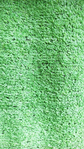 Abstract texture of grass plants surface for background design fill text