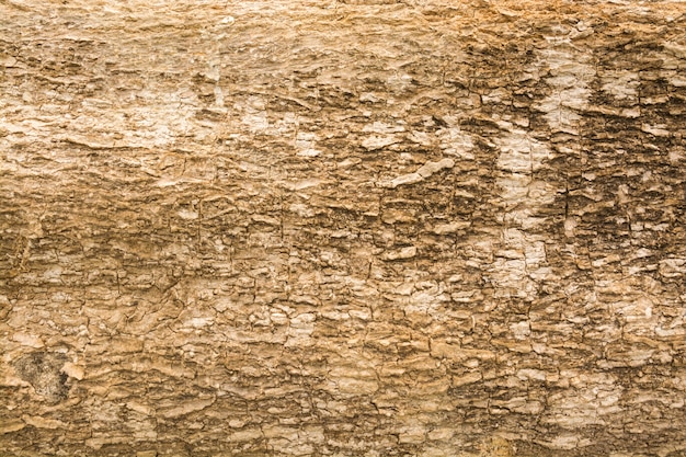 Abstract Texture Pattern Background of Brown Wood Bark 