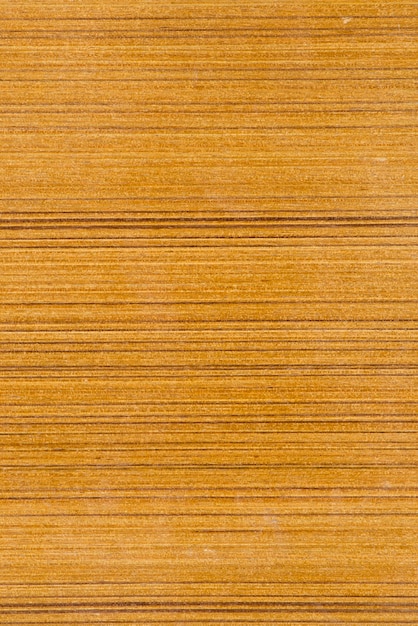 abstract texture of wood background closeup, brown color