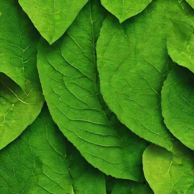 The abstract textured background a collage from big leaves of bright green color closeup