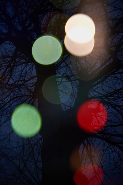 Photo abstract tree with lights and double exposure