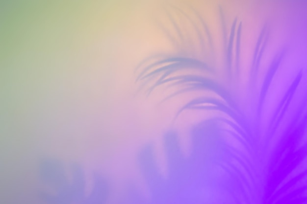 Abstract tropical background in pastel colors. Purple palm leaf silhouette.