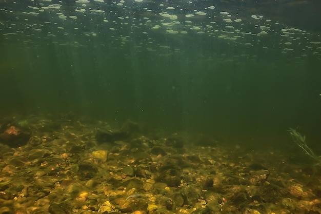 湖の抽象的な水中背景、きれいな淡水