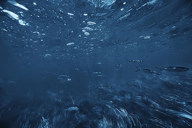 abstract underwater background in the lake, clean freshwater