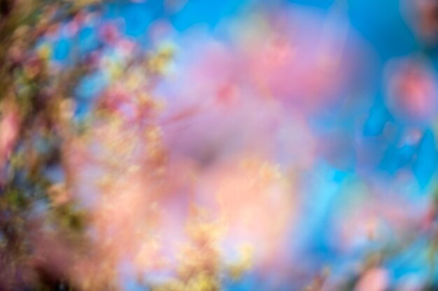 Abstract vervagen lente bloesem achtergrond