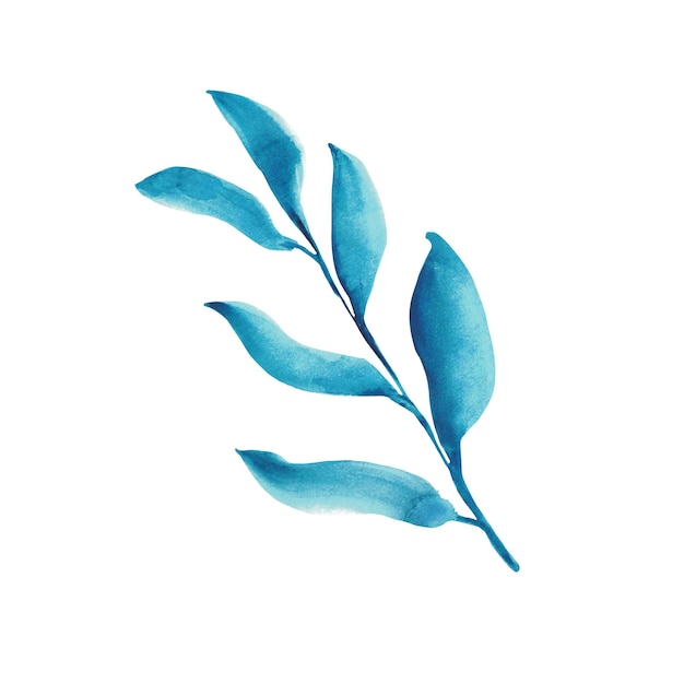 Photo abstract watercolor leaf in blue colors