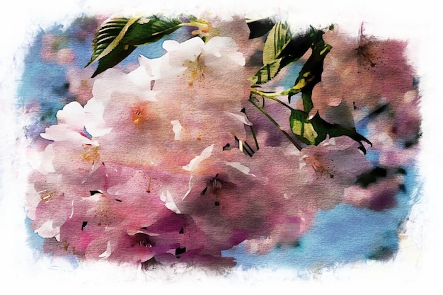 Abstract watercolor pink sakura flower design painting, sakura watercolor illustration